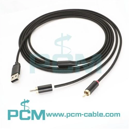 RCA Biex USB Konvertitur Diġitali