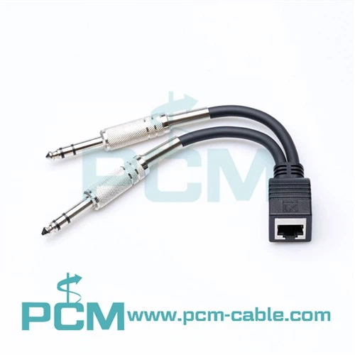 RJ45 Female Biex DOPPJU 1/4 TRS Male Adapter