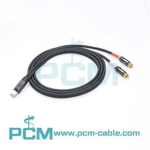 RJ45 Male għal Doppju RCA Male Adapter Cable għal AXIA